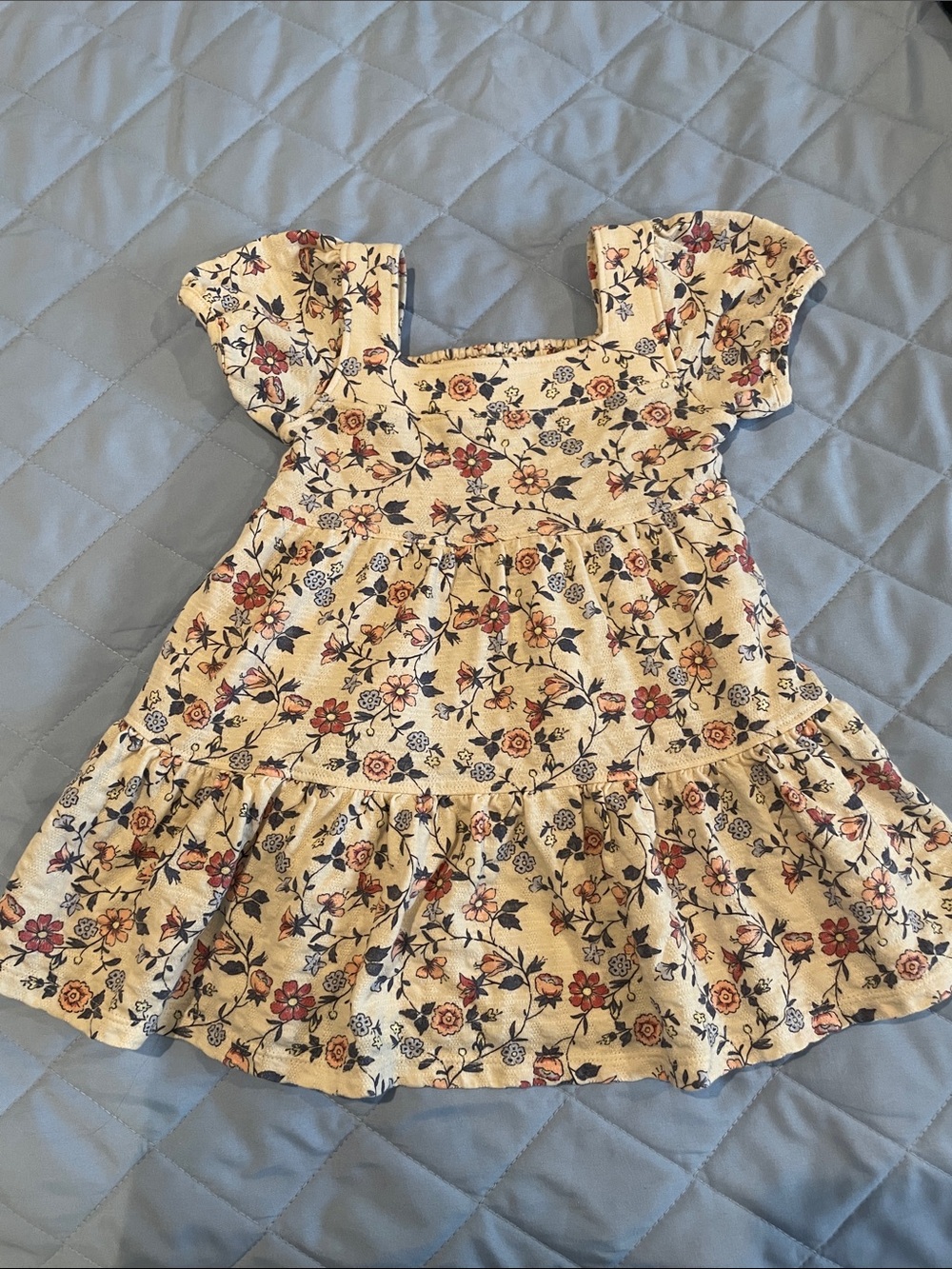 modern moments Cream Floral Ruffle Hem girl Dress size 18 months
